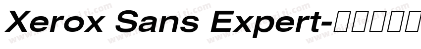 Xerox Sans Expert字体转换